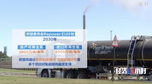 爆發(fā)式增長 國產(chǎn)氫能產(chǎn)品 火 到國外,售價(jià)僅為歐洲同類產(chǎn)品一半