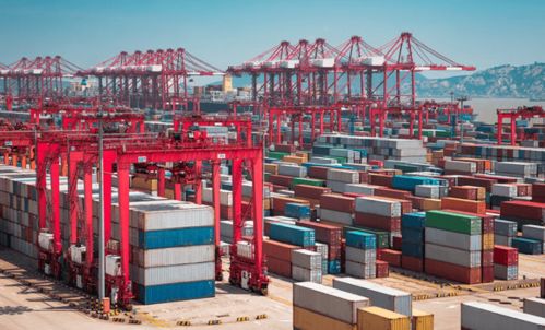 德國貿(mào)易商 擔心中國廠家春節(jié)休息,加快預訂中國防疫產(chǎn)品